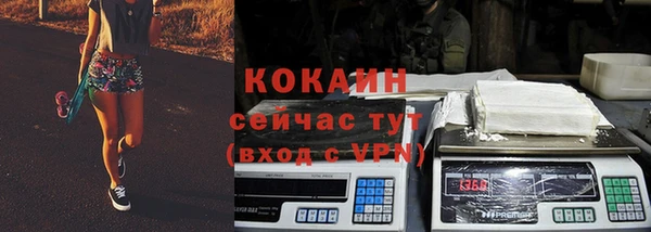 тгк Снежногорск