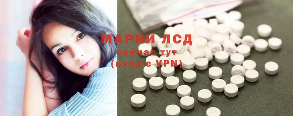тгк Снежногорск