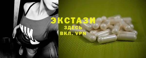тгк Снежногорск