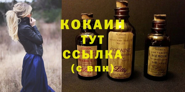 тгк Снежногорск