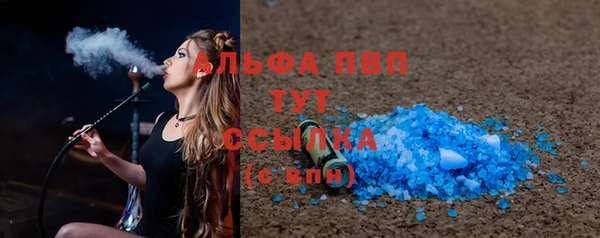 тгк Снежногорск