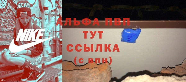 тгк Снежногорск