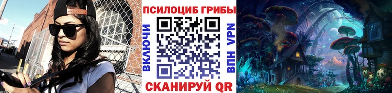 закладки  Жигулёвск  дарк нет наркотические препараты  Псилоцибиновые грибы Psilocybe 